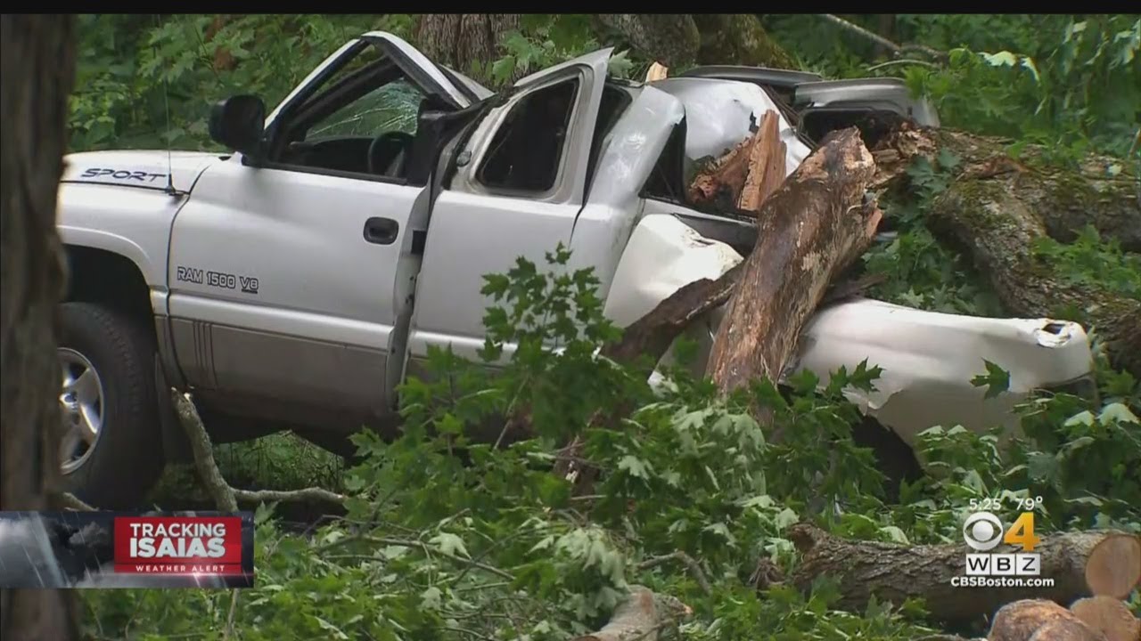 Tree Falls On Pickup Truck In Leicester - YouTube