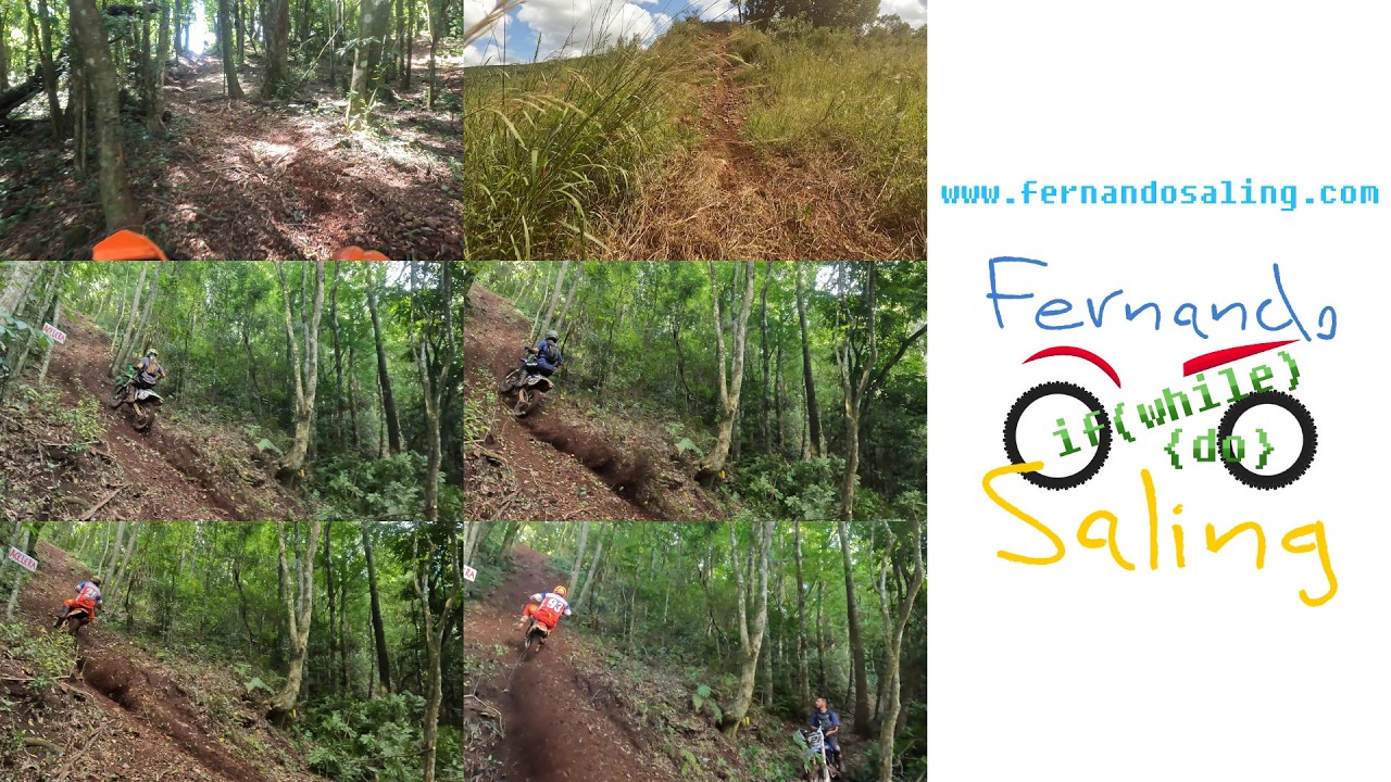 Trilha com Formigos da Trilha - Santa Rosa - RS  - 21/02/2026