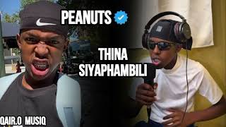 Peanuts In His Zone 🥜🎶When the lyrics come on, Peanuts knows the assignment! 😮‍💨🔥#africagroovetv