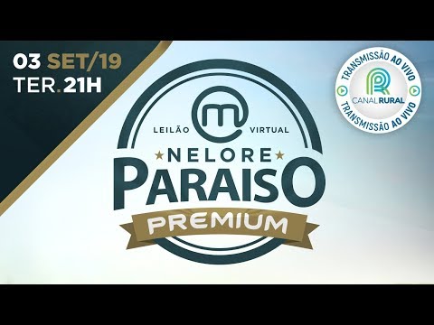 Lote 06 (Aia FIV do Nelore Paraíso - MRJP 390)