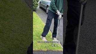 Aerator Bulb-Planting Hack – Works, But Not with Sprouted Bulbs