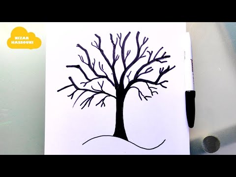 Vidéo: Comment s'appelle un arbre sans feuilles ?