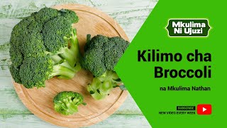 Mkulima ni Ujuzi - Kilimo cha Mboga ya Broccoli screenshot 5