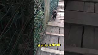tentativa de roubo ao vivo!A carinha do meliante #travel #dicasdeviagem #boraaliemaisalem