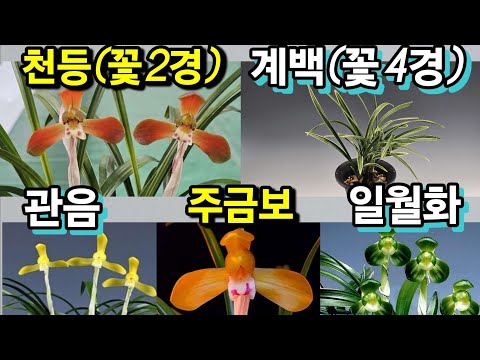 유튜브 썸네일