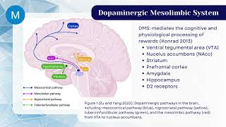 Research Proposal: fMRI differences in nucleus accumbens between adolescent smokers and non-smokers