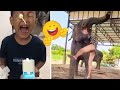  funnys every days  best compilation of fail and pranks  try not to laugh 13