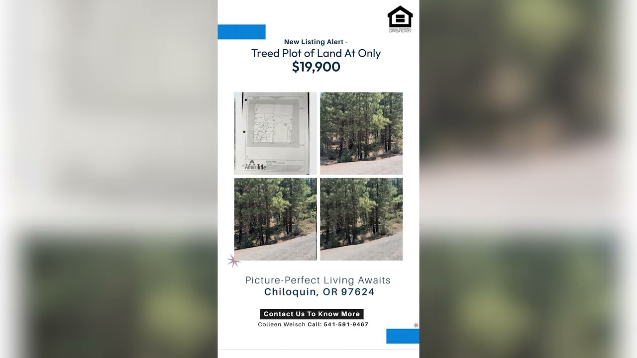 Advanced Agent Group LLC Real estate