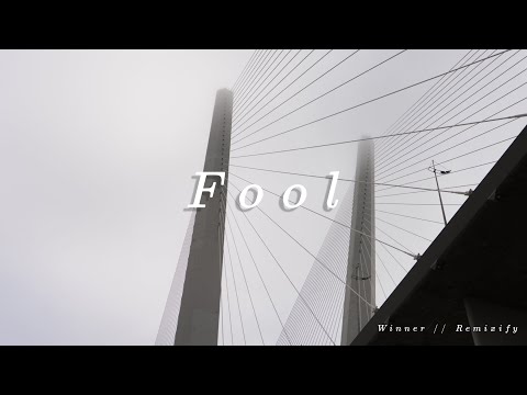 Winner - Fool lofi ver.