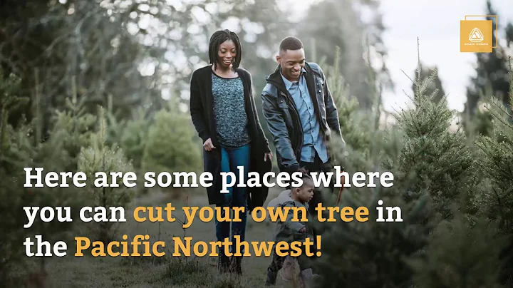 Tips for Cutting Down Your Own Christmas Tree in the Pacific Northwest