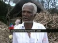 Government neglect Marayoor jaggery farmers