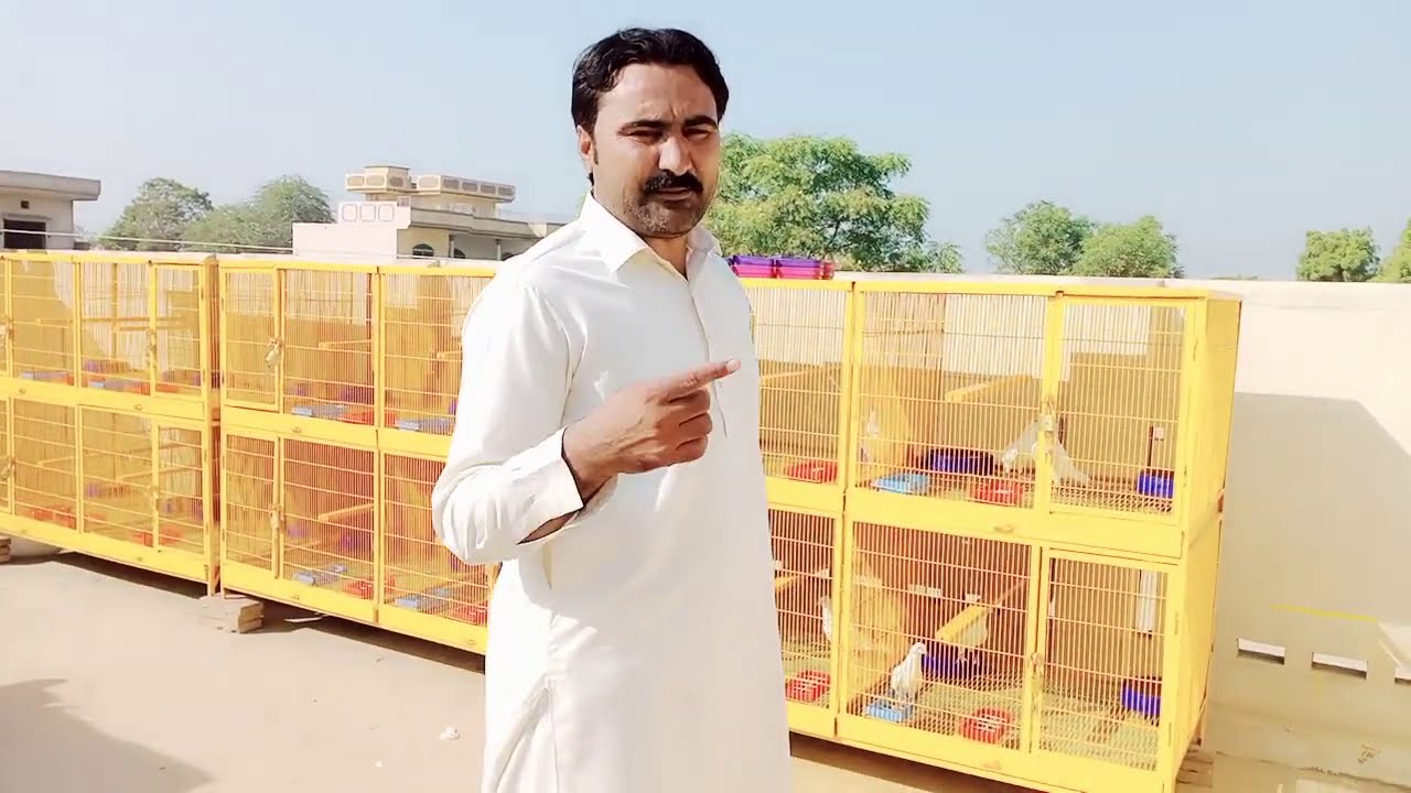 PIGEONS New Breeding cages by Imran Badil ||
