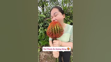 Thử Thách Ăn Xương Rồng Siêu Cay #shorts #food