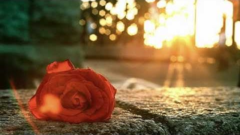 احمد العجمي | سورة الهمزة HD