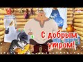 С добрым утром 19 января Среда! Вот это песня! Послушайте только! Доброе утро! С добрым утром