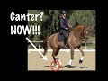 When do you ask for the Canter?!