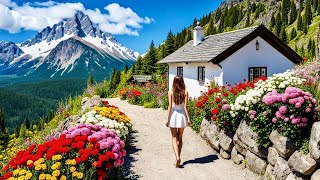 DRIVING IN SWISS  - 9  BEST PLACES  TO VISIT IN SWITZERLAND - 4K   (11) by Tourist Car 68,726 views 2 months ago 1 hour, 14 minutes