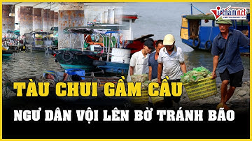 Bão số 1 (Bão Talim) áp sát vịnh Bắc Bộ, UBND TP Móng Cái ra công văn hỏa tốc | Báo Vietnamnet