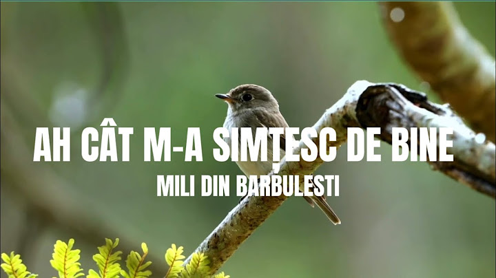 @MILIDINBARBULESTI - AH CÂT MA SIMȚESC DE BINE- ( Video Official )