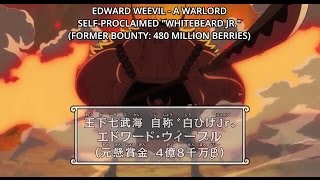 one piece - whitebeard'son new seventh warlock Edward Weevil debut