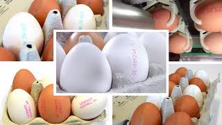 Leibinger Coding and Marking  - Corporate Video
