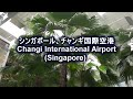 チャンギ国際空港