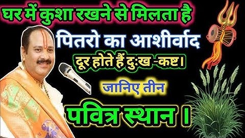 घर में कुशा रखने से मिलता है पितरों का आशीर्वाद, दूर होते हैं दुख-कष्ट जानिए 3 पवित्र स्थान |pradeep
