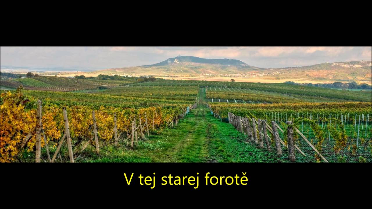 Tufaranka - V tej starej forotě