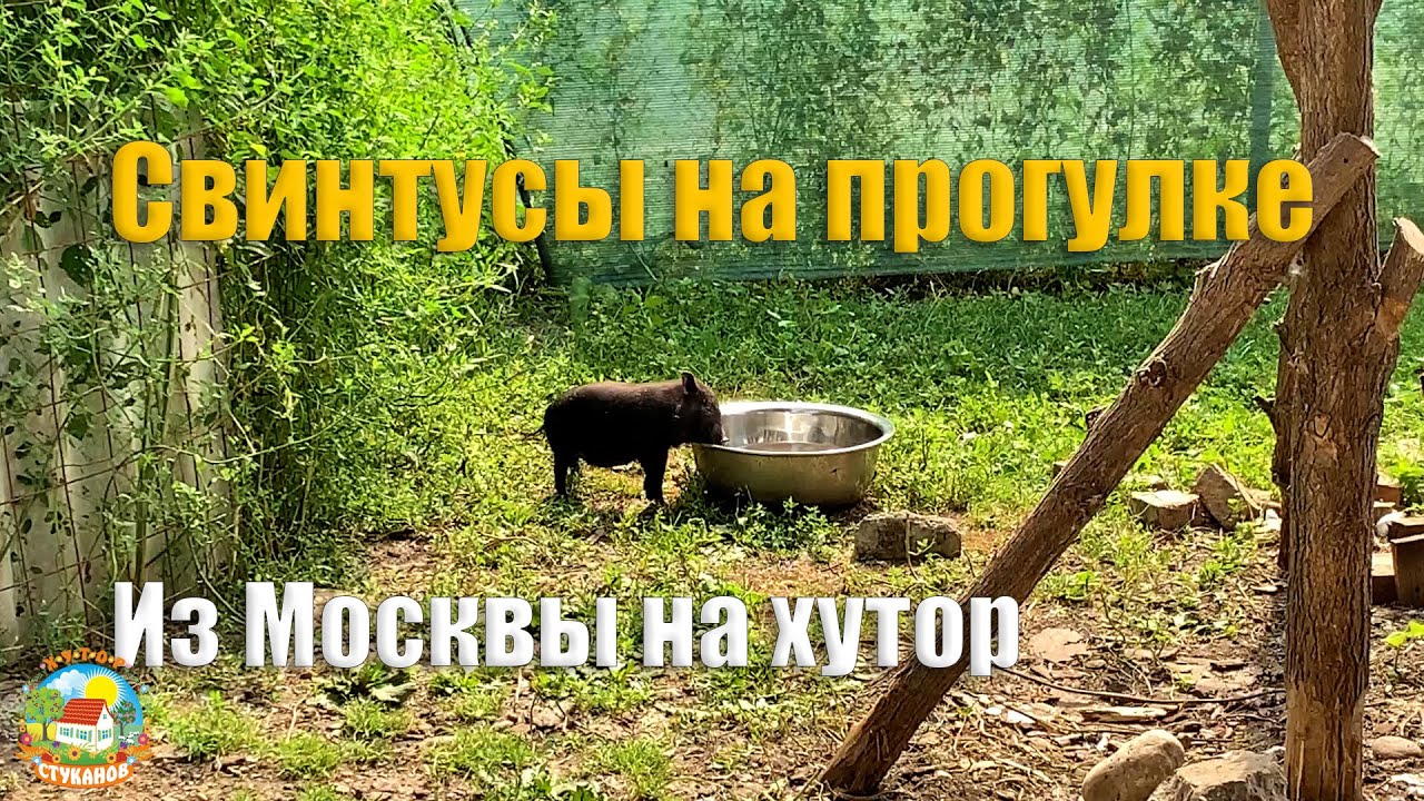 Хутор Стуканов Новые Серии 2022 Год