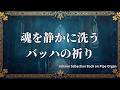 【天使の光が魂を包み込む】静かに心を洗うバッハの祈り 〜 パイプオルガンによるコラール集〜Angelic Light and the Prayer of Bach