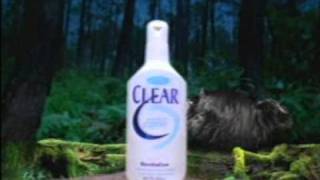 Clear - Porcupine