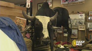 Celebrating 72 Years Of The Parada Del Sol Historic Parade