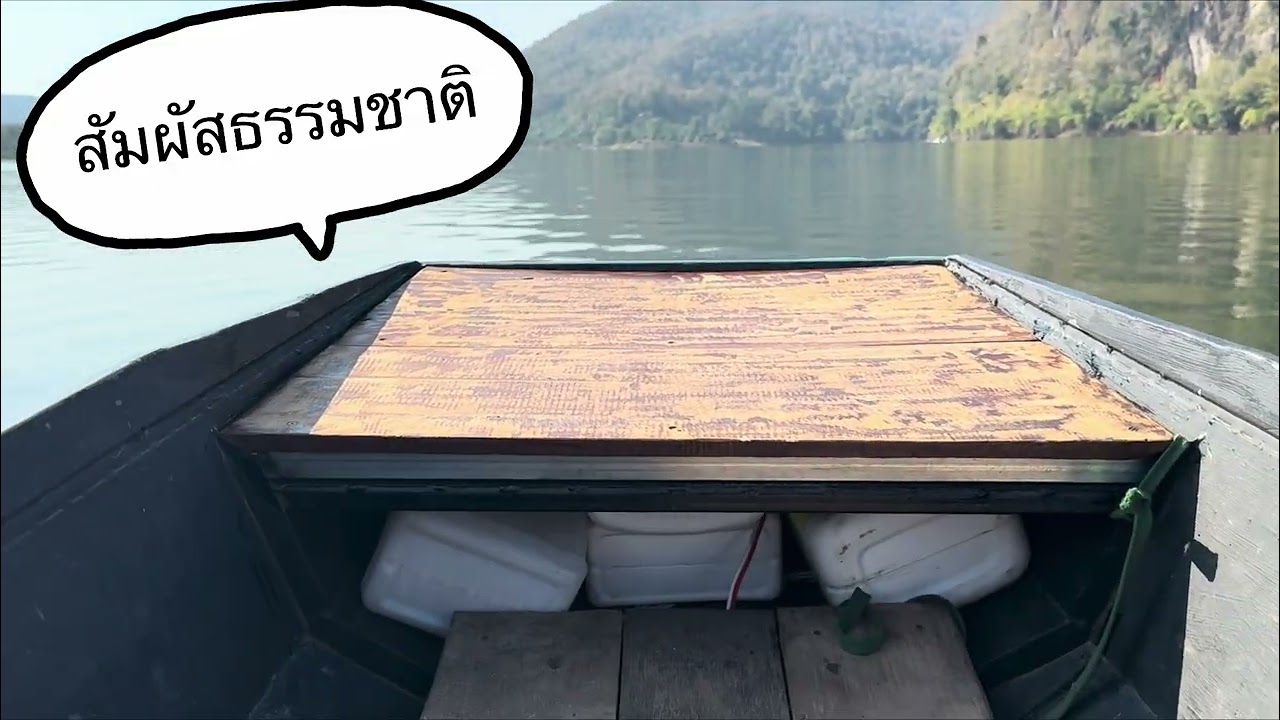 ไปเที่ยวอำเภอพร้าว ชมต้นฉำฉากลางน้ำกันครับ #ilovetraveltourandservice  อำเภอพร้าว จับหวัดเชียงใหม่ 