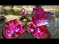 Giant clams beautiful and charming pearls purple jade dragons want to take the girls pearl