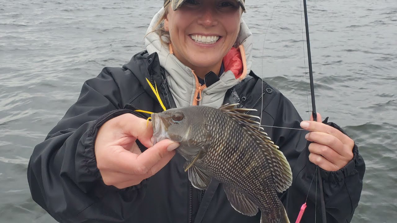 How to Catch Sea Bass in the Chesapeake Bay