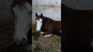 Octavia Is Like 25 Again