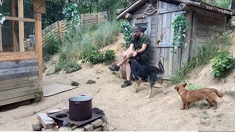 Alone in the mountain village, happy – the story of five adopted kittens.
