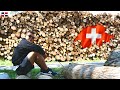 🇩🇴🇨🇭SUIZA...Totalmete natural...Rico en madera!!! | Wood reserves in swiss forests!!!