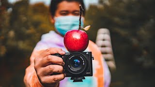 Apple Picking | Photography