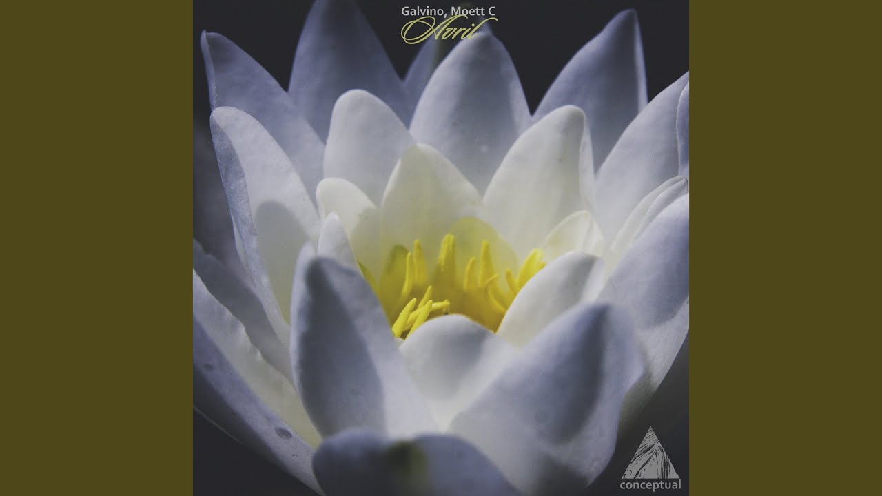 Mexicali (Original Mix)