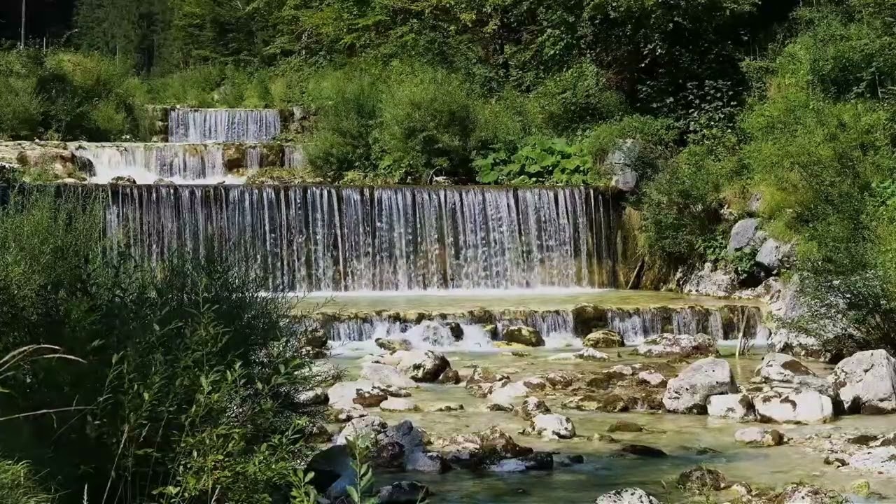 I Spent 30 Days Listening to NATURE SOUNDS for Sleep and Focus Here's What Happened