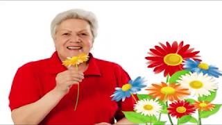 Голова садовая - ВАЖНО! Как выбрать розы для посадки