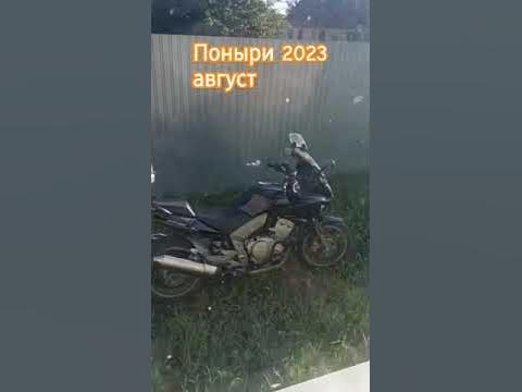 Поныри2023 Жаркая погода #курск #курскаябитва #курскаяобласть #поныри # ...