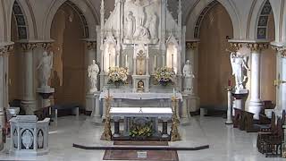 Friday July 10 2026 Daily Mass