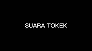 SUARA TOKEK