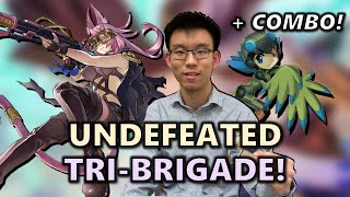 UNDEFEATED Locals Tri-Brigade Lyrilusc (Bird-Up) Deck Profile + Combo! | Post December Ban List!