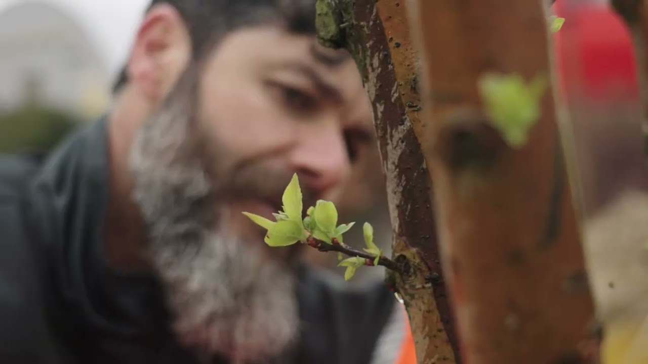 Wervingsvideo groenvoorziening gemeente Utrecht - klik om video af te spelen