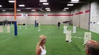 2013 Jul 6_Marigny Q_Think Pawsitive Excellent JWW_1st Q in E JWW