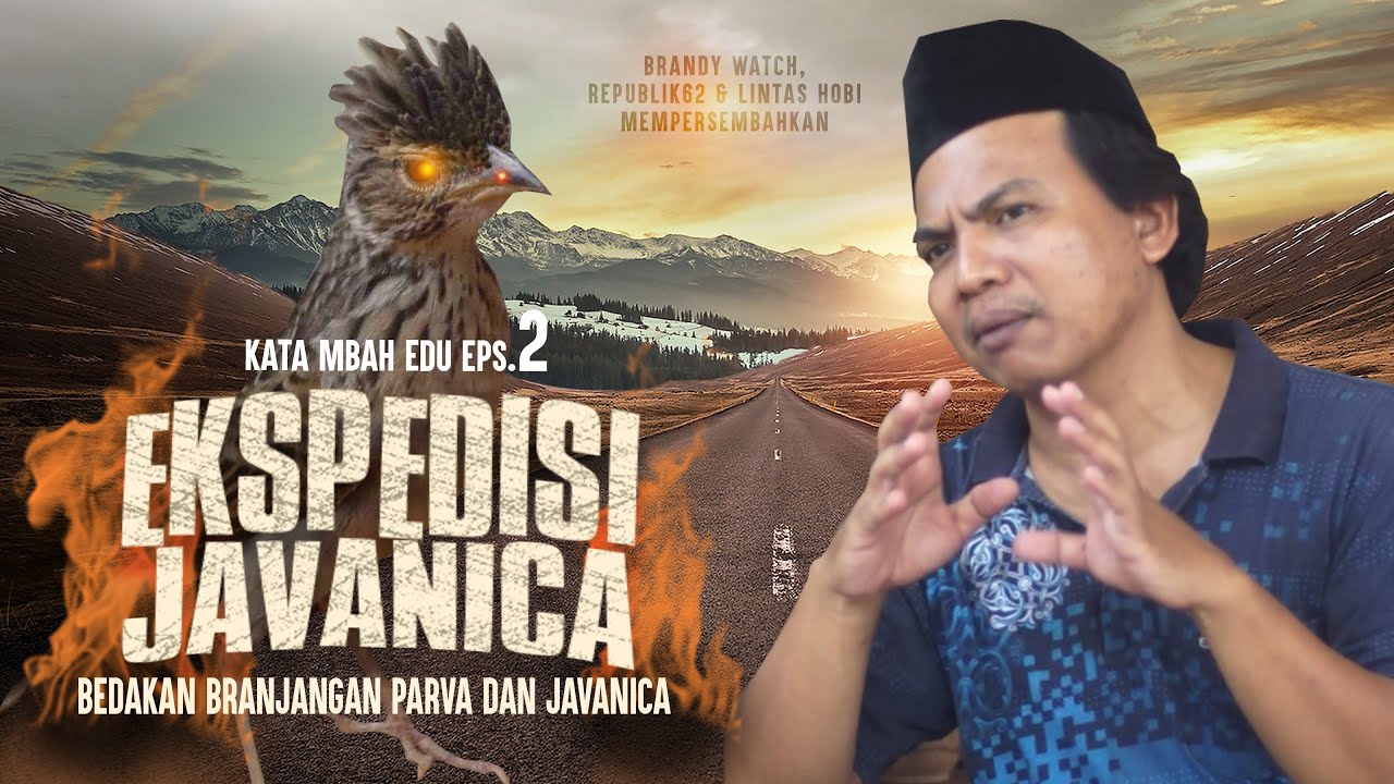 Слова MBAH EDU, эпизод 2 😎Как отличить ПАРВУ от ЯВАНИКИ Бранджанган