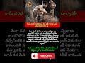 రామ్ చరణ్ 'పెద్ది' ట్రైలర్ డేట్ ఫిక్స్? బాక్సాఫీస్ వద్ద విధ్వంసమే! 🔥#Peddi #RamCharan